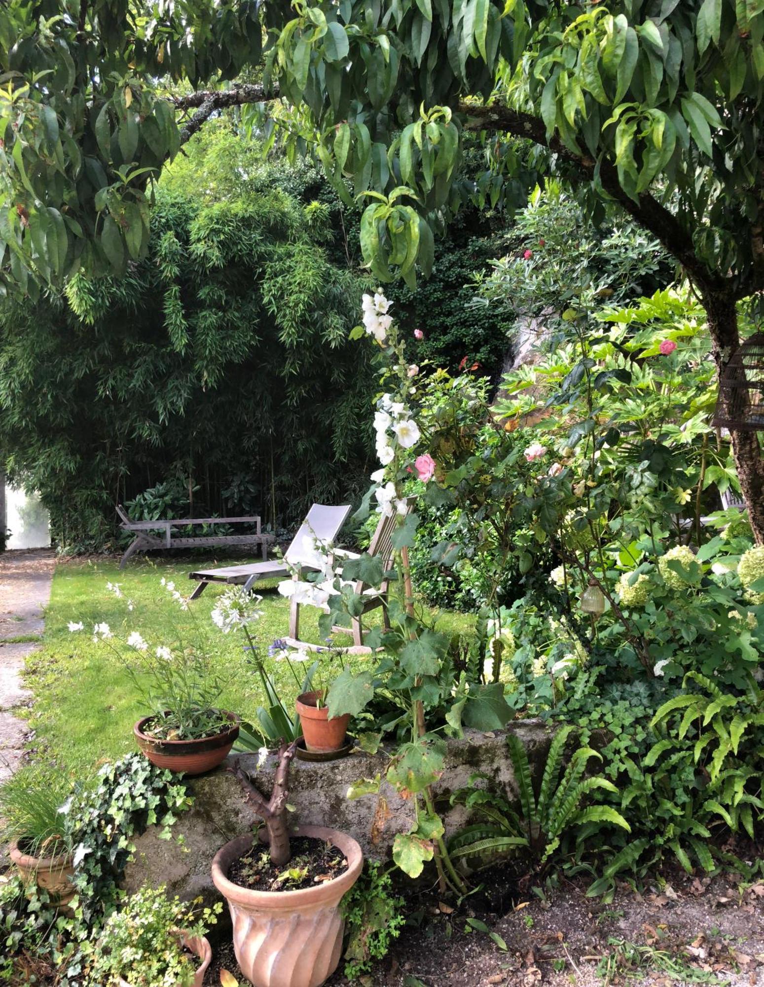 L'Heure Bleue Bed and Breakfast Saintes Buitenkant foto